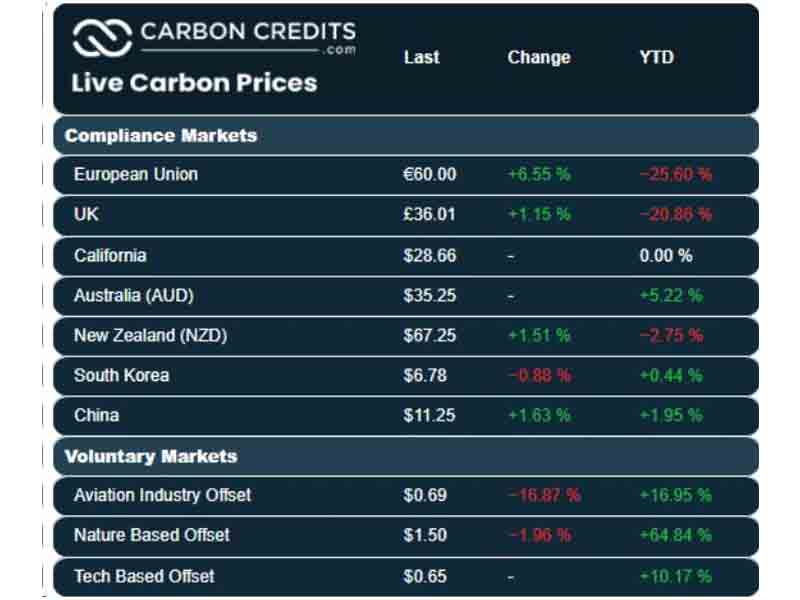 The Observer – Carbon: Creating a New Paradigm in Pricing