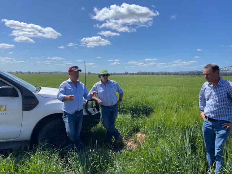 The Observer – South East Australia Barley Advisory Council (SEABAC) Meets in the Riverina