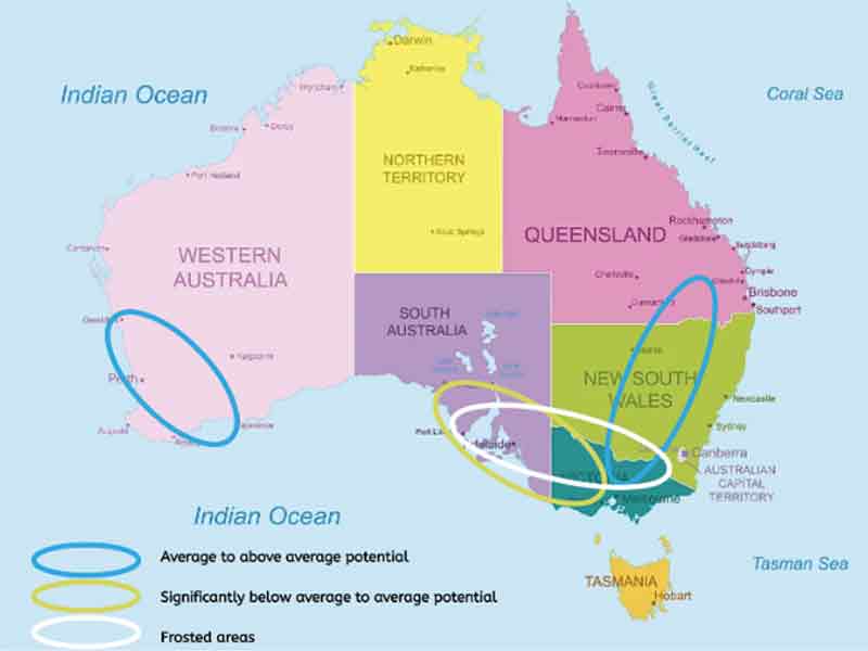 Australian Winter Crop Potential - September 2024