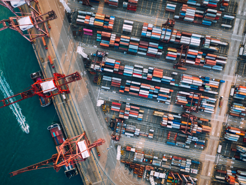The Observer – Exports to China Back in Full Swing