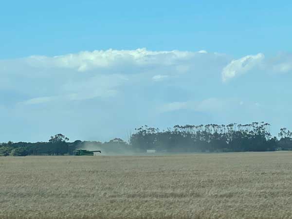 Harvest - Bridgewater Victoria