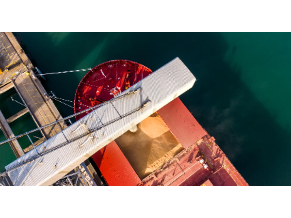 Australia’s record barley crop being exported at pace