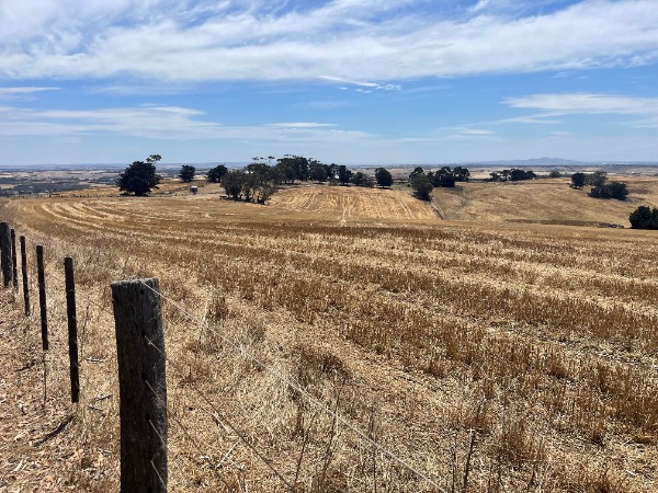 Cropping Report – February 2026